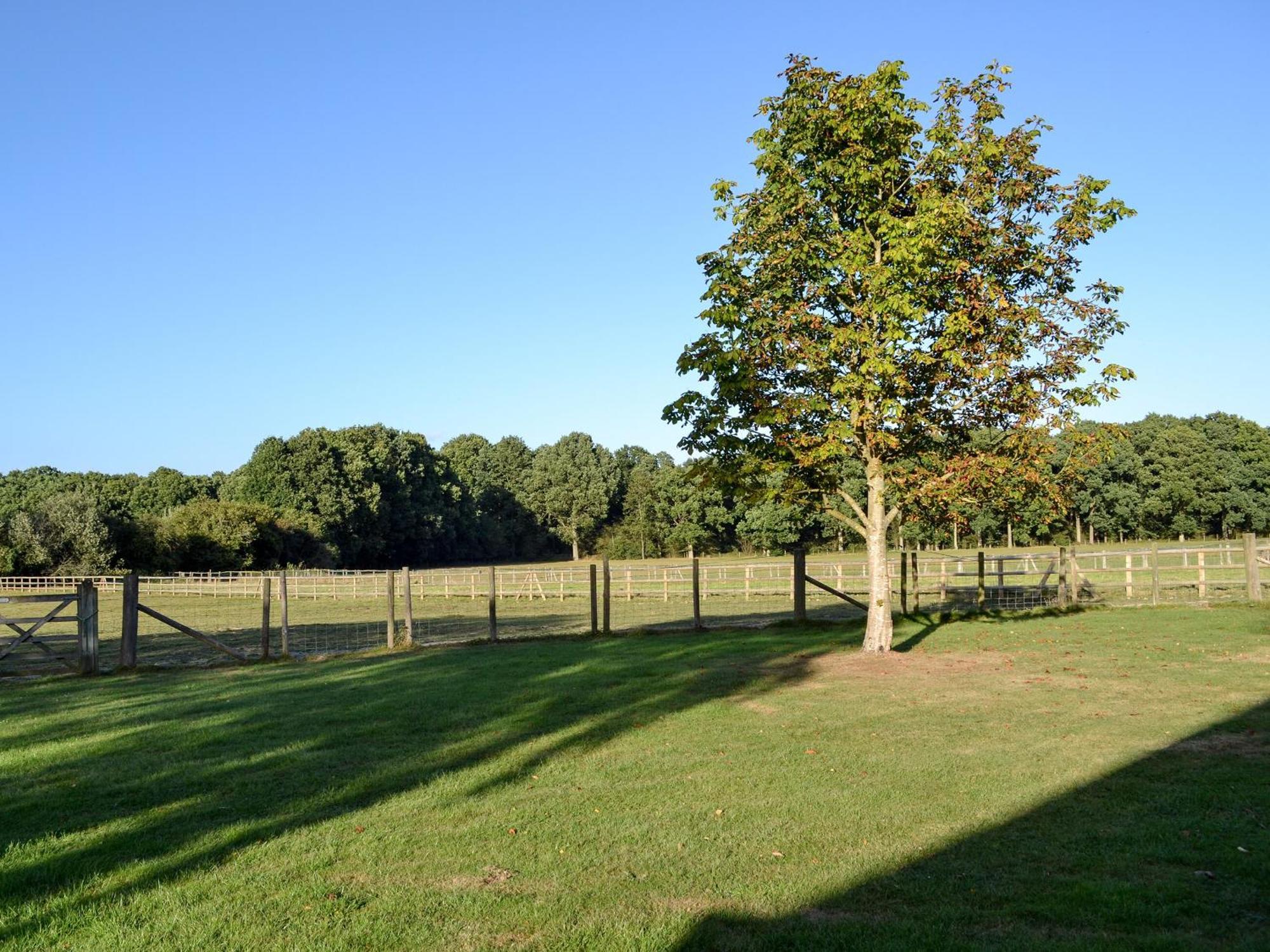 Maplehurst Barn Stables Staplehurst Exterior foto